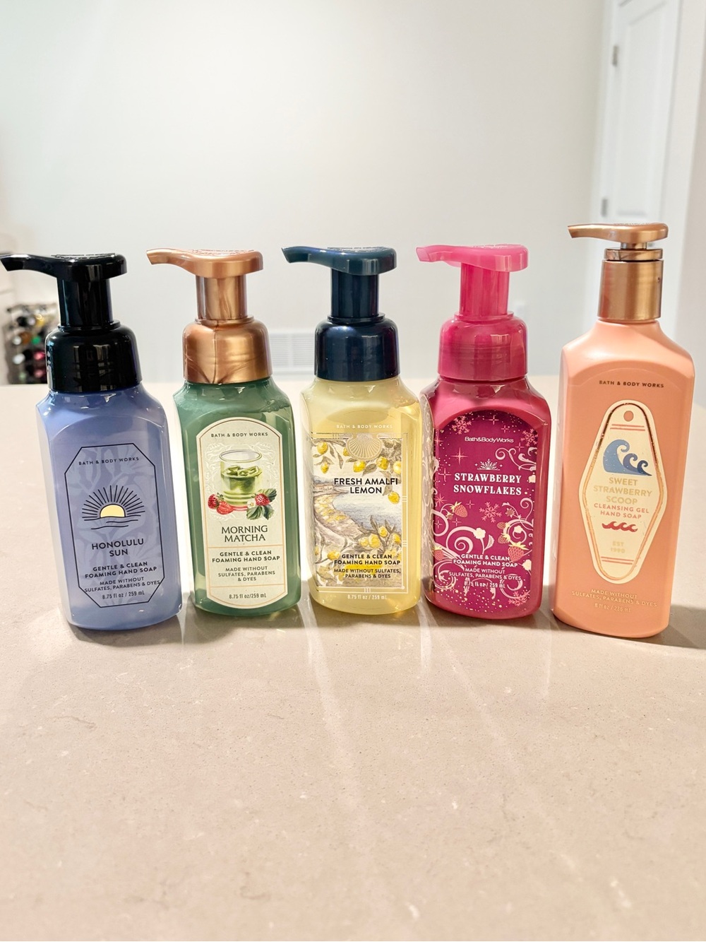 Bath and Body Works 5 Piece Hand Soap Gift Set